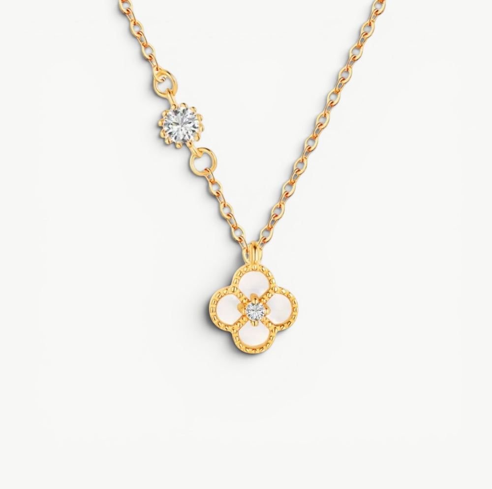 Chaîne Ivory